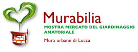 Opera delle Mura di Lucca